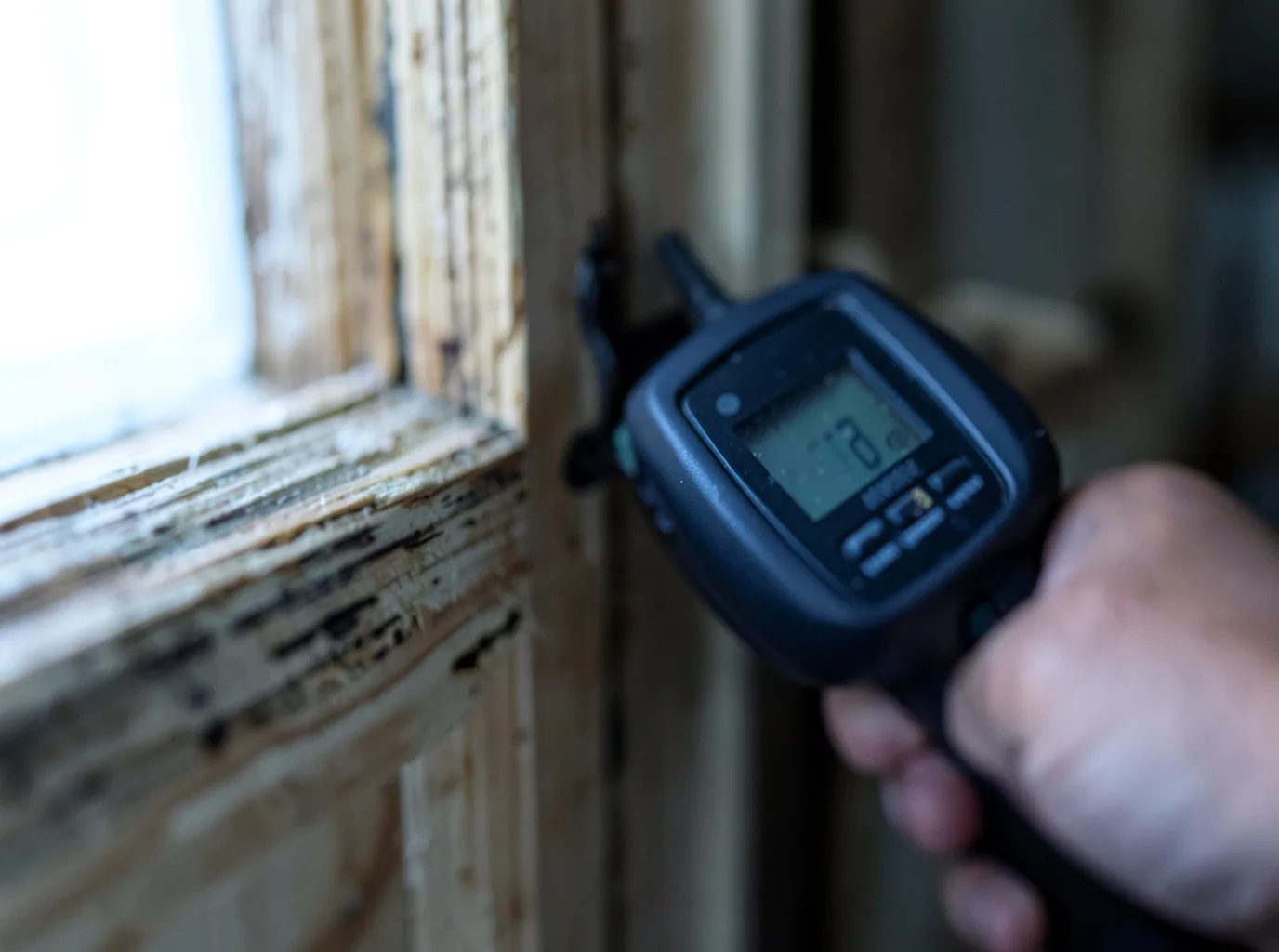 Moisture Inspection And Documentation in Portland, TX